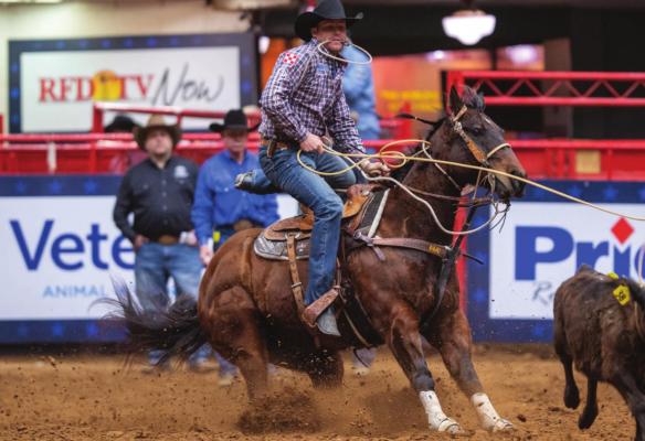 Bellville’s Caleb Smidt dismounts his horse Pockets during the tie-down roping event at the American Rodeo Semi-Finals in Fort Worth earlier this year. Smidt collected his third world title from last week’s National Finals Rodeo in Las Vegas, NV. JACK LINK, THE AMERICAN RODEO/RURAL MEDIA GROUP