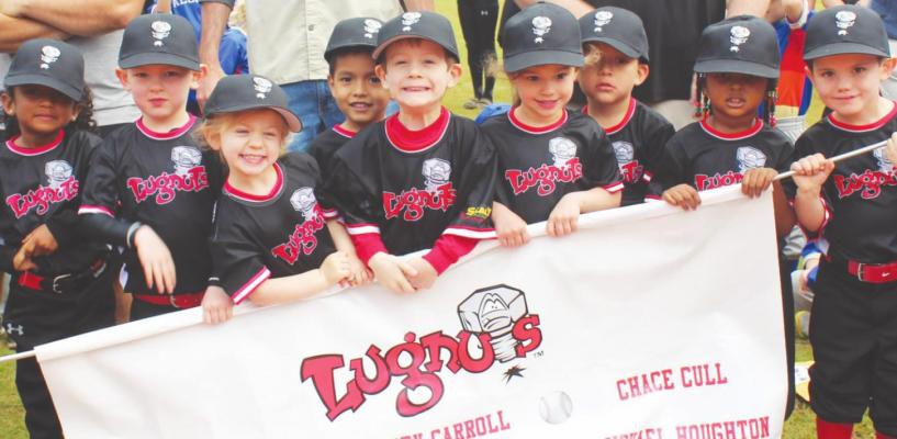Little league registration open