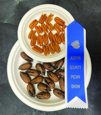Pecan Show accepting entries for annual show