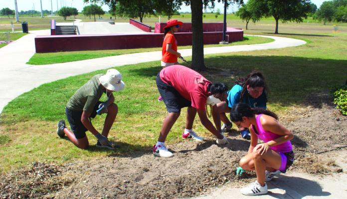 Students try their best to pull out weeds under the sweltering heat. Left to Right Benjamin Barrera, Lalo Olvera, Gabriella Sanchez, America Arriaga and Sabrina Montgomery. PHOTOS BY ABENEZER YONAS
