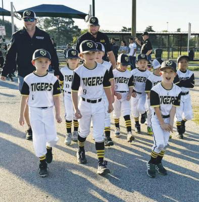 Sealy Little League kicks off season