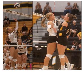 Sealy looking strong during early tournaments