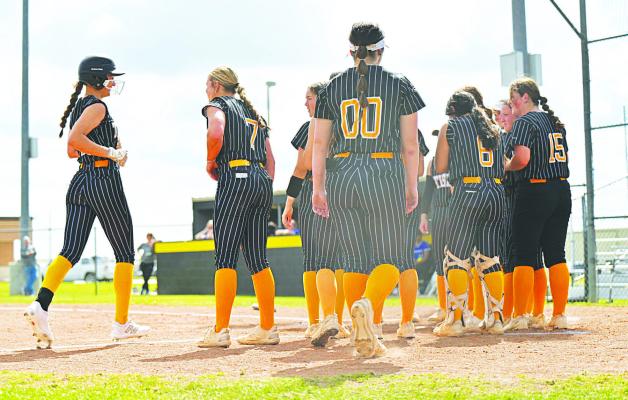 Caylee Syzdek homers PHOTOS BY XXX