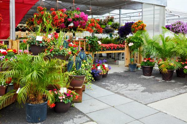 Master Gardeners hosting annual plant sale April 13
