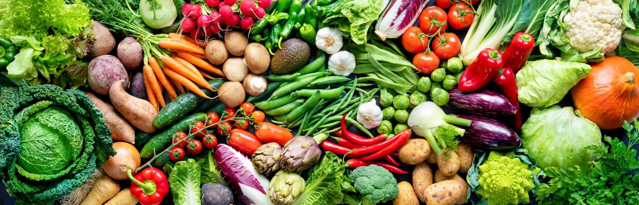 Annual Fort Bend Regional Vegetable Conference