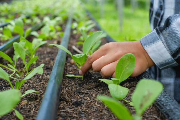 Veggie conference set for Feb. 23