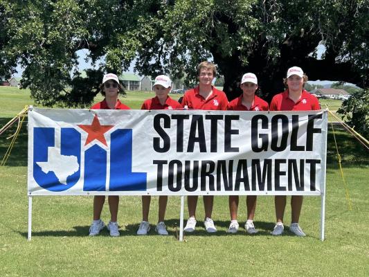 Bellville golf teams finishes ninth at state