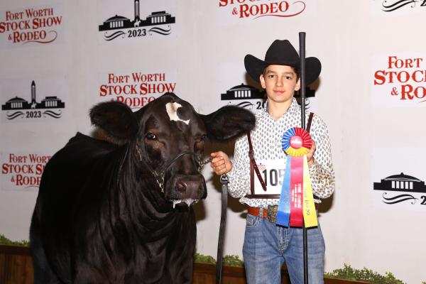 Aiden Glueck, a FFA member from Cat Spring captured Senior Champion Heifer with BPB Nola 019J in the Simbrah Junior Heifer Show at the 2023 Fort Worth Stock Show & Rodeo on Jan. 23.