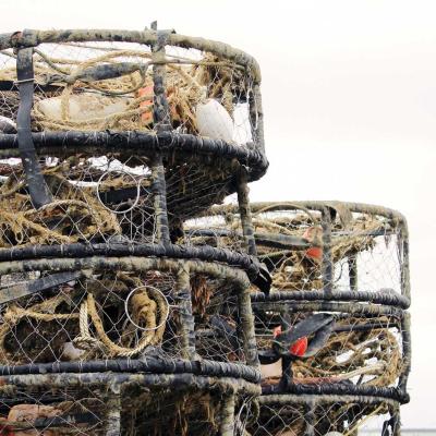 Annual Texas abandoned crab trap removal dates set for 2024