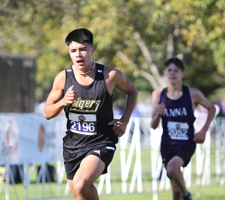 Sealy senior Xavier Olvera was the Tigers' top finisher in his final meet of his cross country career at the Class 4A State Championship in Round Rock Saturday morning. COLE McNANNA