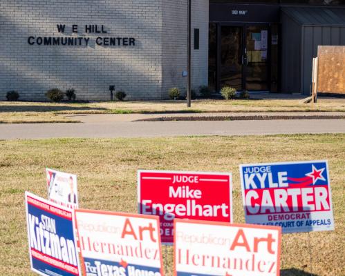 Voters have cast ballots at their local polling locations for the March 1 Primary Elections. COLE McNANNA