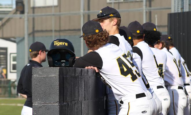 The Sealy Tigers await their playoff-opening game against Leland May 7 at Aubrey "Mutt" Stuessel Stadium. Bellville High School alumnus Trey Marik was named the Tigers' next head coach Thursday afternoon. COLE McNANNA
