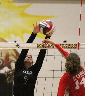 Katie Wagoner block