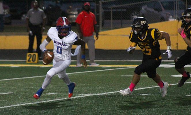 Tiger junior Richard Hahn runs in pursuit of Royal quarterback Stephen McGill during the first half of Sealy’s district-opening game against the Falcons Friday night at T.J. Mills Stadium. The Tigers shutout the visitors 26-0. COLE McNANNA