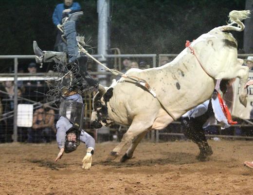 Austin County Fair and Rodeo