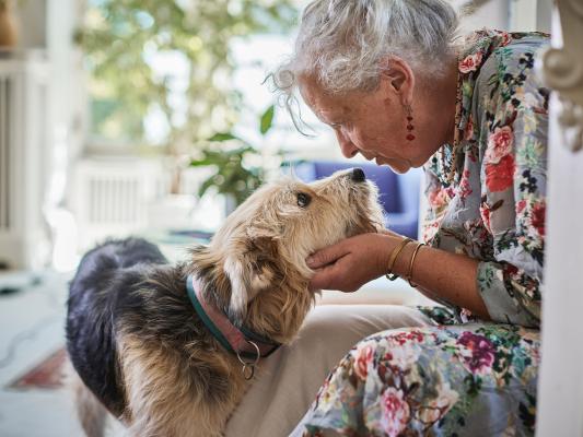 A Paw-sitive impact: How pets enrich the lives of the elderly