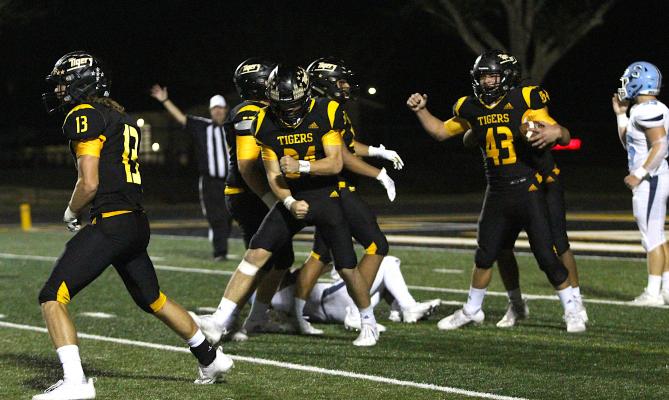Sealy defenders including Gage Grigar (13), Jeffrey Neu (34) and William Forrester (43) celebrate Forrester’s recovery of Grigar’s forced fumble in the second half of the Tigers’ 65-33 win over Sweeny at home Friday night. COLE McNANNA