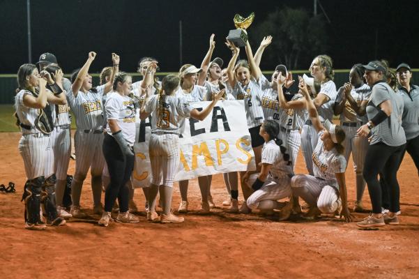 The Sealy Lady Tigers celebrate winning the area title last year during their strong playoff run. With a strong core of players returning this year, the Lady Tigers are favored to repeat their playoff run this season.