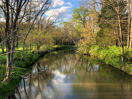 Mill Creek Spring Cleanup set for May 9