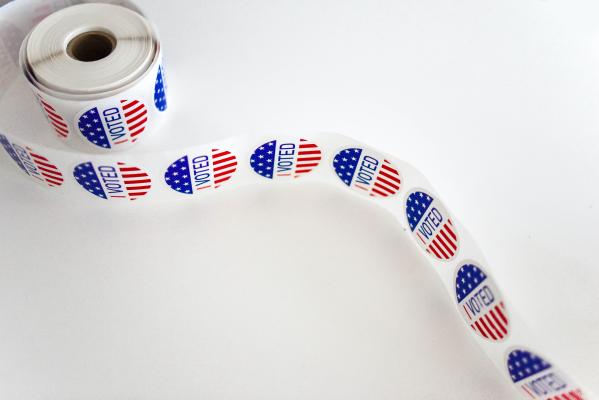 Voter Rolls, the Key to Clean Elections