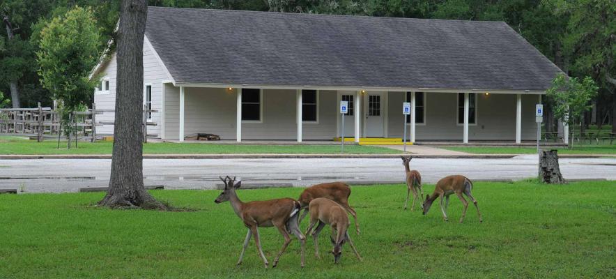 From the scenes at the Stephen F. Austin State Park, above, to the Coushatte Recreation Ranch, below, Austin County residents have plenty sites to chose from for their outdoor camping needs. COURTESY PHOTOS 