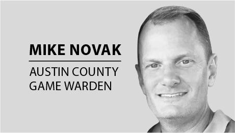 Mike Novak