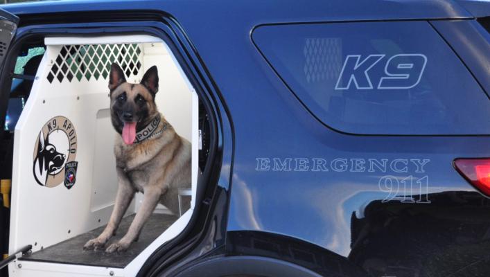The Sealy Police Department and law enforcement officials of Austin County are mourning the loss of Apollo, the K9 officer for the department. COURTESY PHOTO