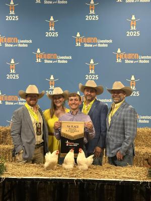 Sealy FFA shining at HLSR events
