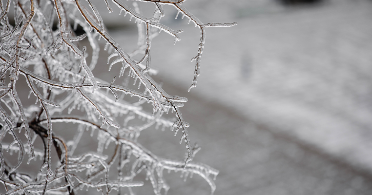Abbott urges Texans to report winter weather damages