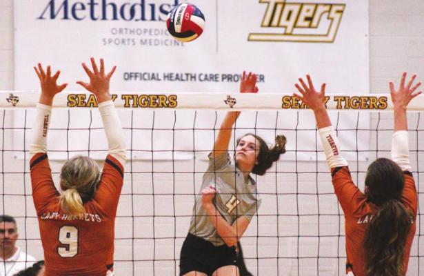 Sealy sophomore Annabelle Williams smashes a ball past the Caldwell defense during the Lady Tigers’ non-district match last Friday at home. Williams finished with 16 kills in last week’s contests. COLE McNANNA