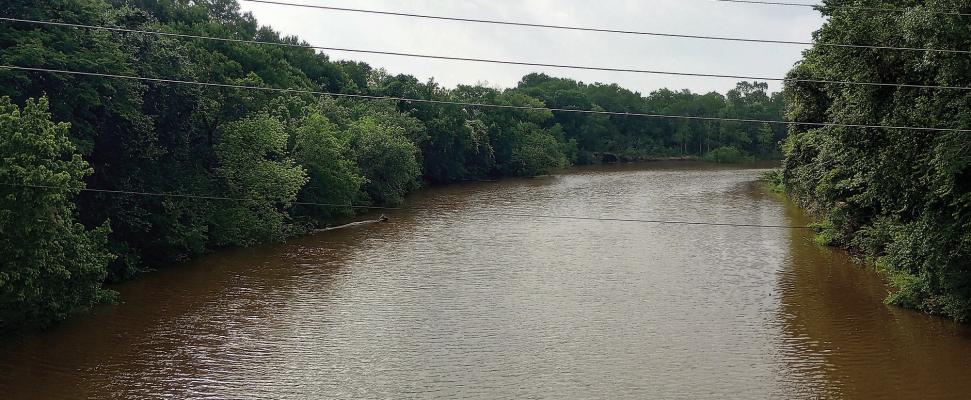 Extension services plans annual Mill Creek cleanup