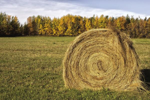 Hay samples need for annual analysis show