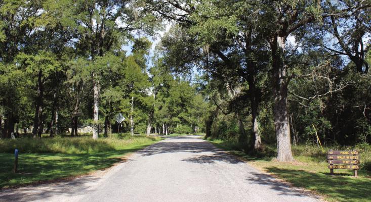 SFA Park back open for business