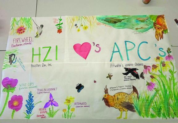 Houston Zoo helps out Attwater wildlife refuge