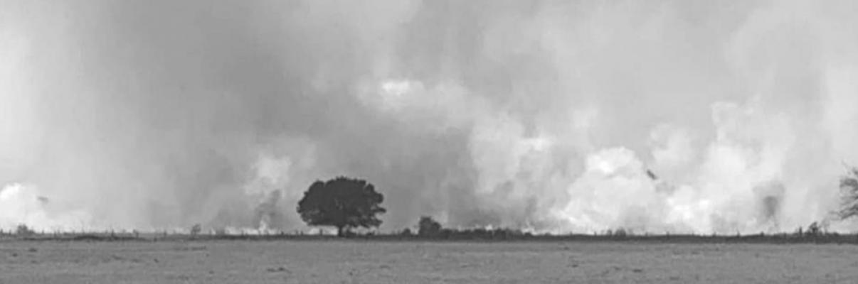 Firefighter revived by AED during Colorado County grass fire
