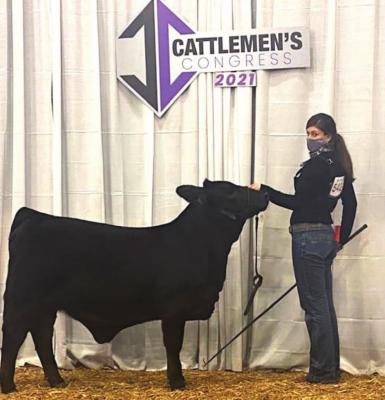 Sealy FFA members compete