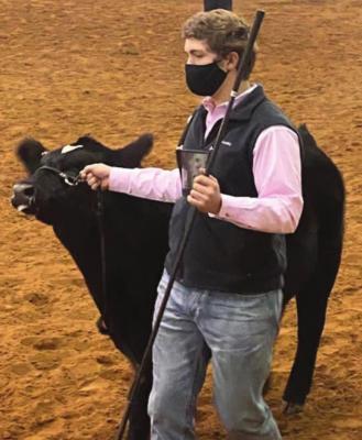 Sealy FFA members compete
