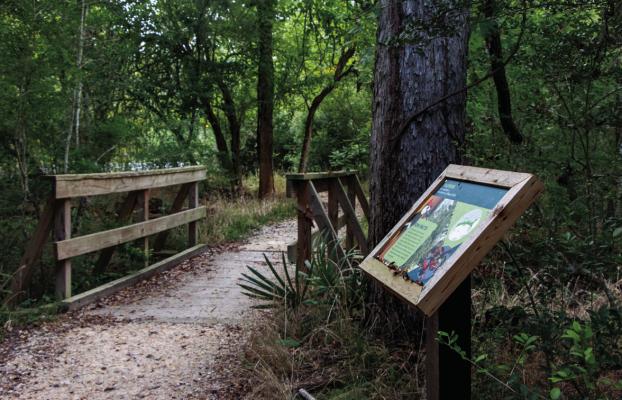 A plaque for yaupon berries sits before a short bridge on the Pileated Trail at Stephen F. Austin State Park, Friday, Aug. 29.