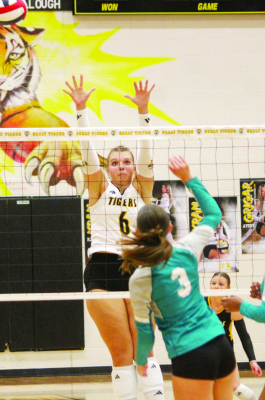 Baylee Brandes jumps up to block a ball at the net.