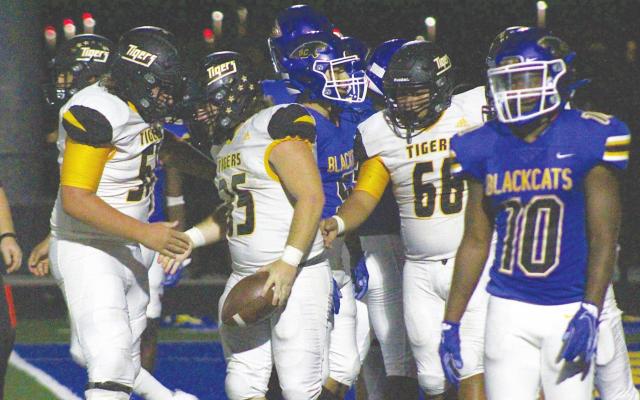 Sealy senior Ethan Hart (35) is congratulated on his second rushing touchdown of the night by Tiger linemen Kyle Willingham (51) and Eric Torres (66). Hart’s touchdowns helped Sealy win its non-district finale 38-14 at Bay City Memorial Stadium last Friday night. COLE McNANNA
