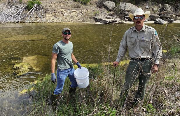 Texas Parks and Wildlife Department (TPWD)’s Habitat and Angler Access Program (HAAP) supplies funding for projects that develop and increase shoreline and bank fishing access as well as restore and enhance fish habitat in Texas’ public inland waters.