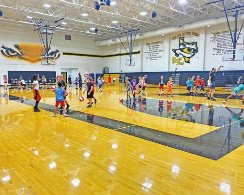 Sealy Tigers basketball camp