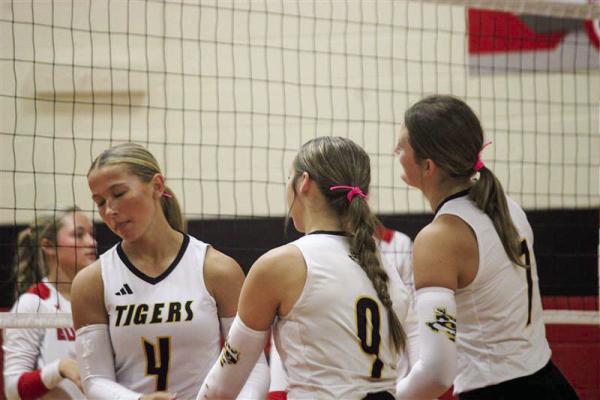 Avery Grigar (left) high fives her teammates Haley Sodolak and Lauren Luther after checking into the game. SEALY NEWS | EVAN HALE