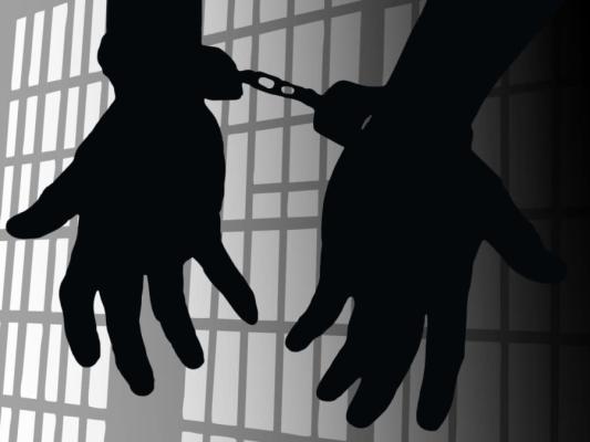 ARREST REPORTS