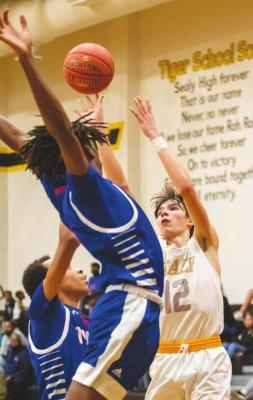 Tiger seniors honored