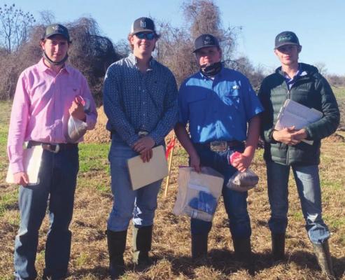 FFA makes debut