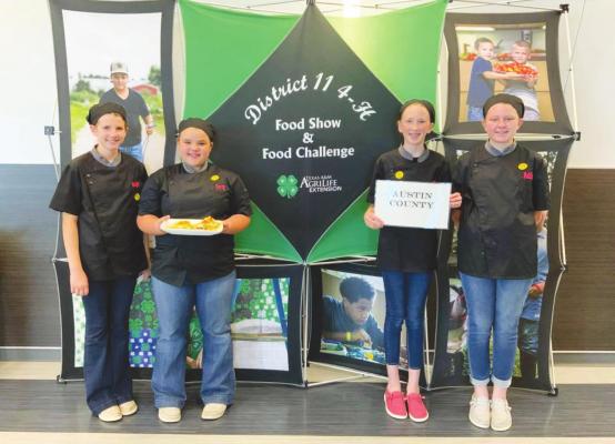 Food Squad team members Katelyn Krenek, Darcy Luedke, Jacie Menefee, and Madilyn McCullough were one of two Austin County 4-H teams that were recognized at the District 11 Food Challenge contest in Victoria April 10. CONTRIBUTED PHOTOS