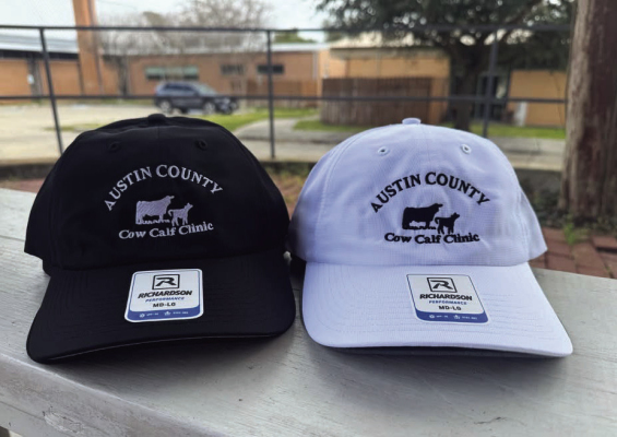 Austin County Calf Cow Clinic baseball caps are available in white text on black cap and black text on white cap. COURTESY PHOTO