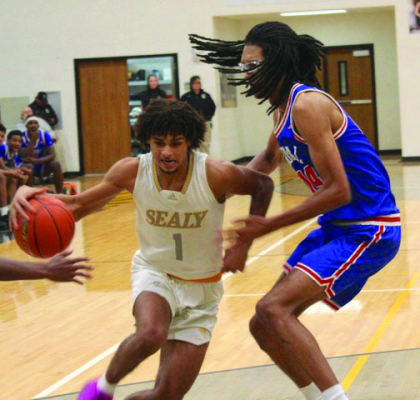 Tigers fall twice in hoops play