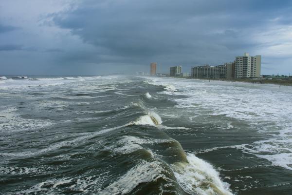 Workforce Solutions requests community damage assessment on Hurricane Beryl impacts